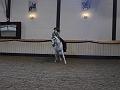 T-20130914-161908_P1110745-G
