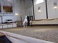 T-20130914-163120_P1110870-G