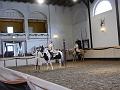 T-20130914-163744_P1110943-G