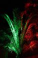 T-G_T_20131003-214834_IMG_4039