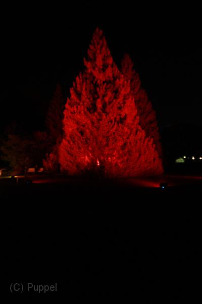 T-E_T_20131003-205958_IMG_1760-F.JPG