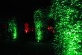 T-C_T_20131003-202522_IMG_1730-F