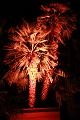 T-D_T_20131003-204714_IMG_1750-F