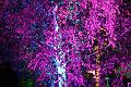 T-F_T_20131003-212506_IMG_3982