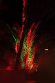 T-G_T_20131003-220316_IMG_4077