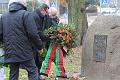 T-20131117-123758_IMG_0057-F
