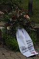 T-20131117-123302_IMG_0028-F