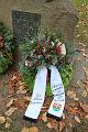 T-20131117-130708_IMG_0124-6