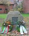T-20131117-130722_IMG_0126-6a