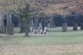 T-20131117-135718_IMG_0093-F