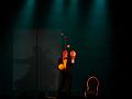 T-20131123-211106_P1210294-Ga