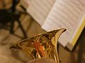 T-20131128-210333_P1220007-Ga