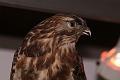 4-T-20140131-173110_IMG_1340-6