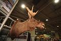 4-T-20140131-181333_IMG_0860-F
