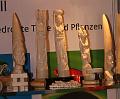 T-20140131-173028_IMG_1336-6a