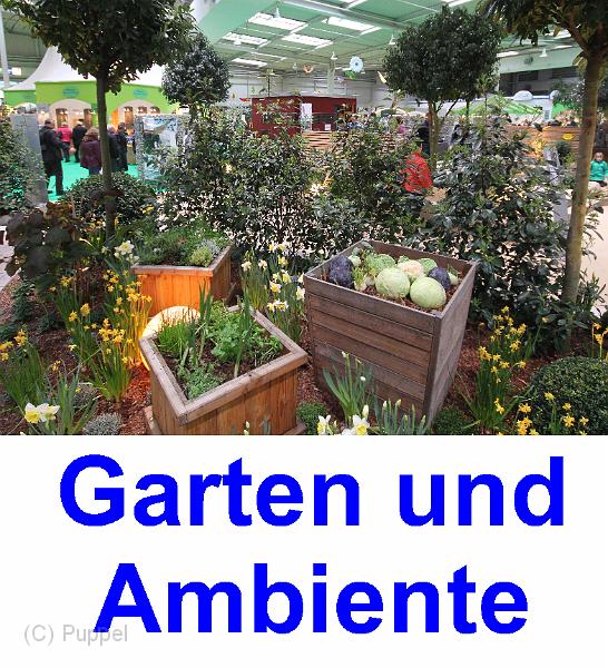 A_GARTEN.jpg