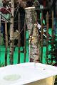T-20140201-145220_IMG_2084-6