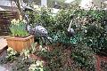 T-20140201-145400_IMG_4411-F