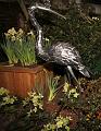 T-20140201-145427_IMG_4415-Fa