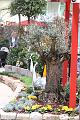 T-20140201-145852_IMG_2095-6