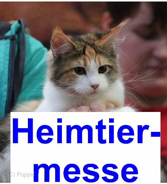 A_HEIMTIERMESSE.jpg