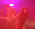 T-20140201-233846_IMG_0471-6a