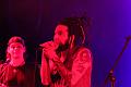 T-20140202-004229_IMG_0745-6