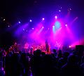 T-20140202-005605_IMG_5061-Fa