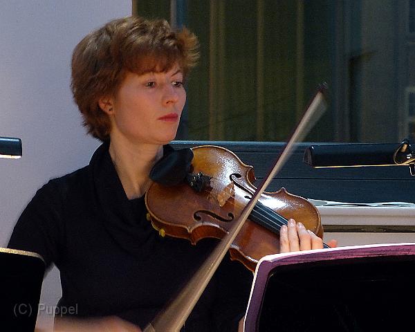 T-20140216-203906_P3330431-1aaa.JPG