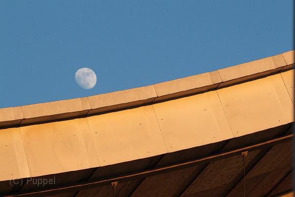 T-20140313-175314_IMG_5820-6.JPG