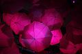 T-20140311-130847_IMG_9303-F
