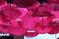 T-20140311-214230_IMG_4158-6