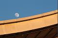 T-20140313-175314_IMG_5820-6