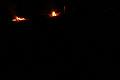 D-A1185_IMG_3278-6