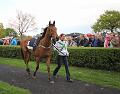 T-20140421-160726_IMG_9591-Fa