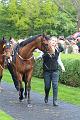 T-20140421-160820_IMG_3815-6a