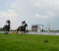 T-20140421-162117_P1350081-Ga