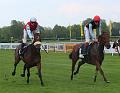 T-20140421-162122_IMG_3908-6a