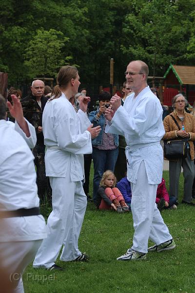T-20140427-154911_IMG_5449-6.JPG
