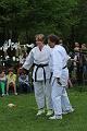 T-20140427-154525_IMG_5433-6