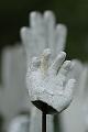 T-20140427-162125_IMG_5646-6
