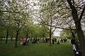 T-20140427-162516_IMG_5523-F