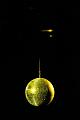 T-20140511-013602_IMG_9807-6