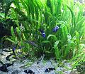 T-20140614-211159_IMG_6791-Fa