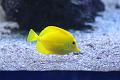 T-20140614-211325_IMG_2804-6