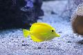 T-20140614-211326_IMG_2806-6