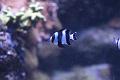T-20140614-211348_IMG_2816-6