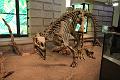 T-20140614-211543_IMG_6799-F