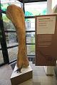 T-20140614-211710_IMG_6806-F