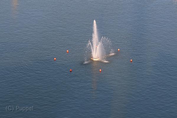 T-20140730-194538_IMG_6292-6.jpg